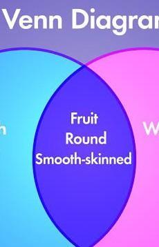 Show Me The Venn Diagram