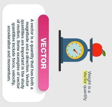 What are vectors and Scalar?