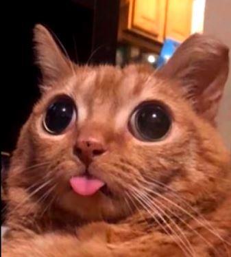 In your career, which is more important: making money or enjoying your career? Why?