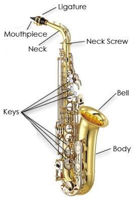 What Part Of The Saxophone Connects To The Body?i Need The Answer, My Thing Is Due Today