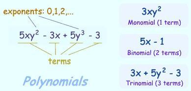 complete the table by classifying the polynomials