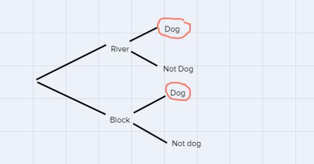 Logan walks his dog every day. They walk by the river 5 days a week and they walk around the block two