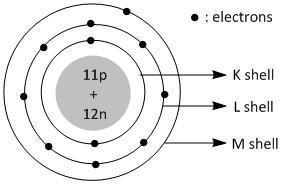 genuine correct answers pls no trolls pls i beg of you i just need some help with this plsDraw the diagram