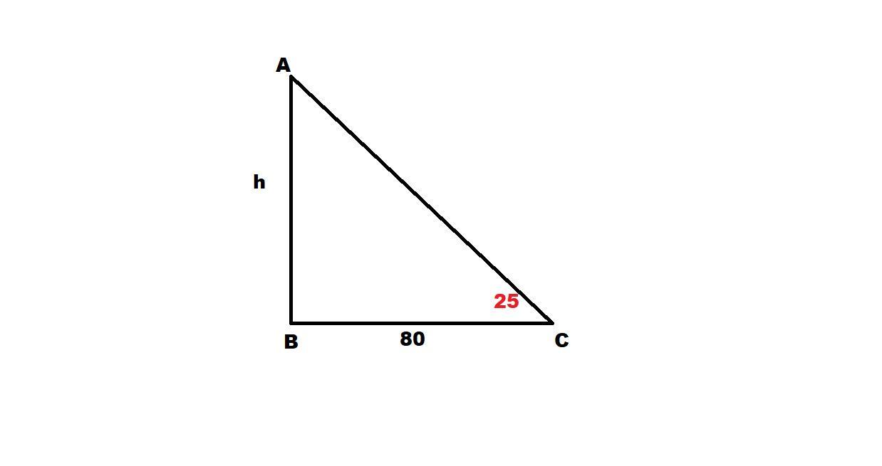 The angle of elevation of the top of a building from a point 80m away on level groundis 25 0 . Calculate