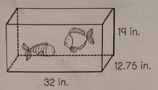 Daejan has a fish tank shaped like the rectangular prism shown below. The fish tank is made of glass,