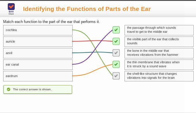Match each function to the part of the ear that performs itauricleanvileardrumear canalcochlea