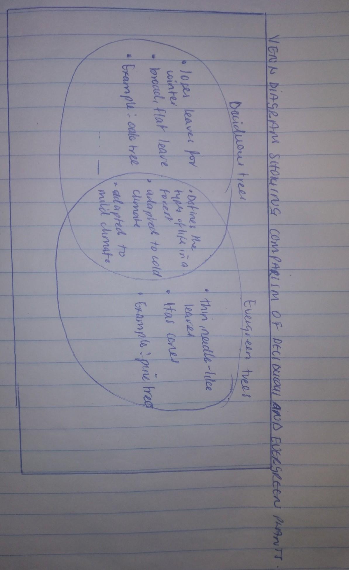 Compare deciduous and evergreen trees by writing each of the characteristics and examples below in the