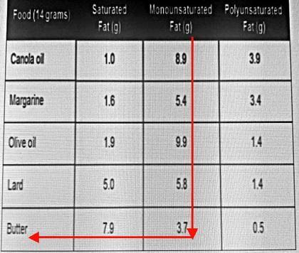 Which food has the least amount of monounsaturated fat?