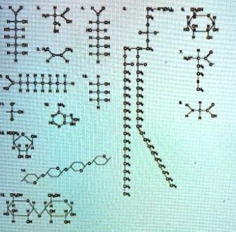 Az Which of the following pairs of molecules could be joined together by peptide bond in a dehydration