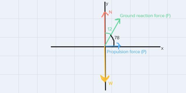 Researchers Test Canine Locomotion By Measuring The Ground Reaction Force (the Vector Sum Of The Normal