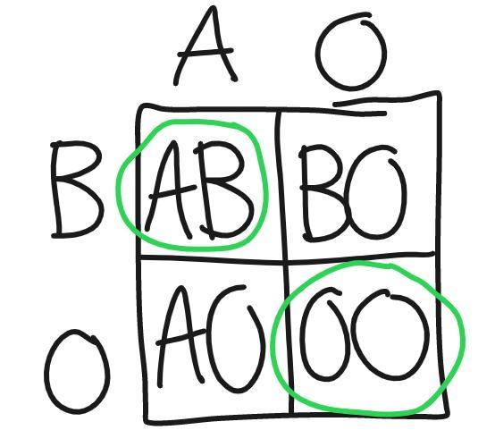If Two Children Have Blood Types O And AB, What Are The Genotypes And Phenotypesof Their Biological Parents?