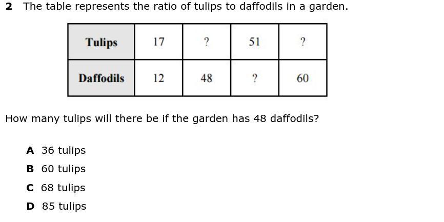 How Many Tulips Will There Be If The Garden Has 48 Daffodils?