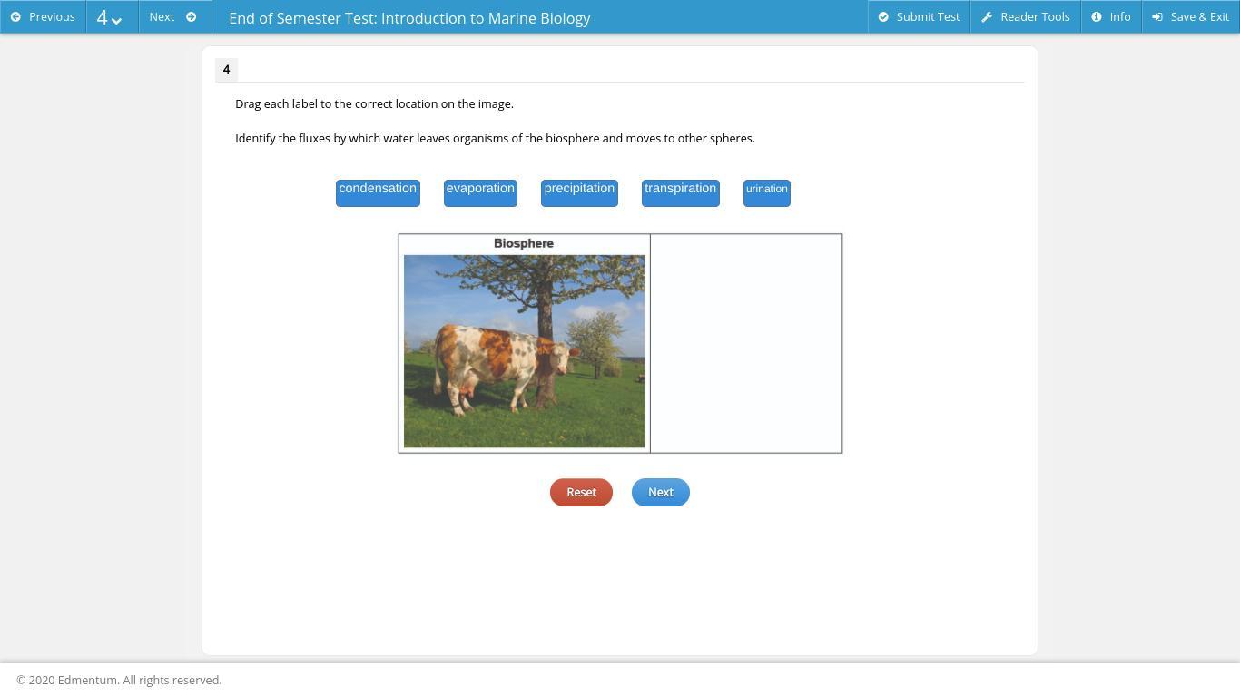 Identify the fluxes by which water leaves organisms of the biosphere and moves to other spheres.condensationevaporationprecipitationtranspirationurination