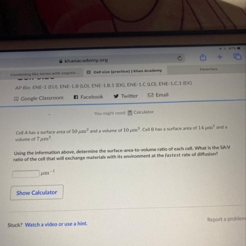 Someone Help Me Please?!