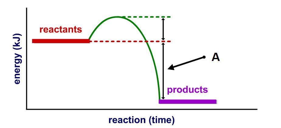 What Is Indicated By 'A' In The Figure Below?A. -EaB. +VEC. -VED. +Ea