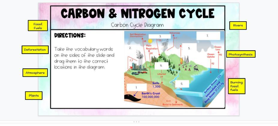 Plz Answer In Order And No Wasting My Points