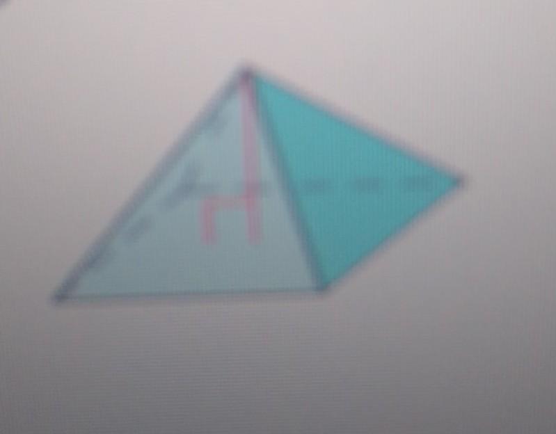 tell whether the red line segment is the height or Stan height.
