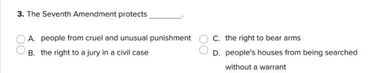 the seventh amendment protects blank