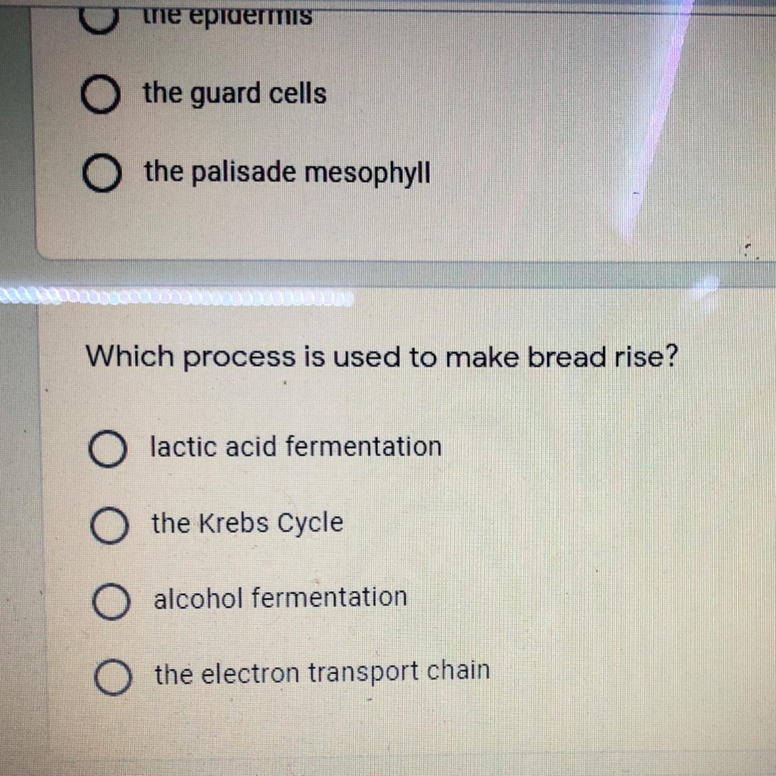 PLEASE HELP ME WITH THIS QUESTION 