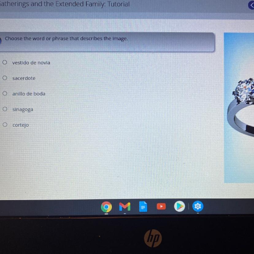 If you can please help me with this question it is very hard for me