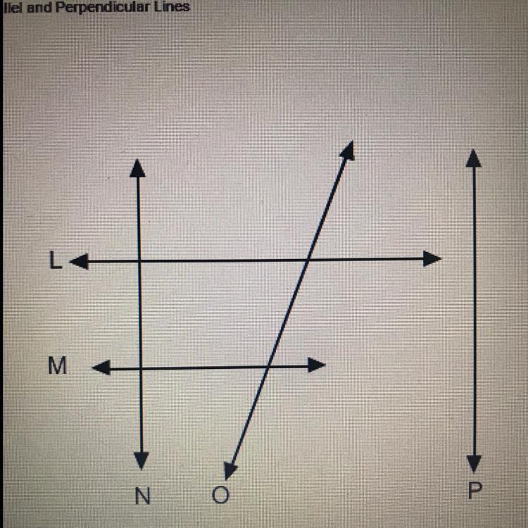 If M N and L M, then _____