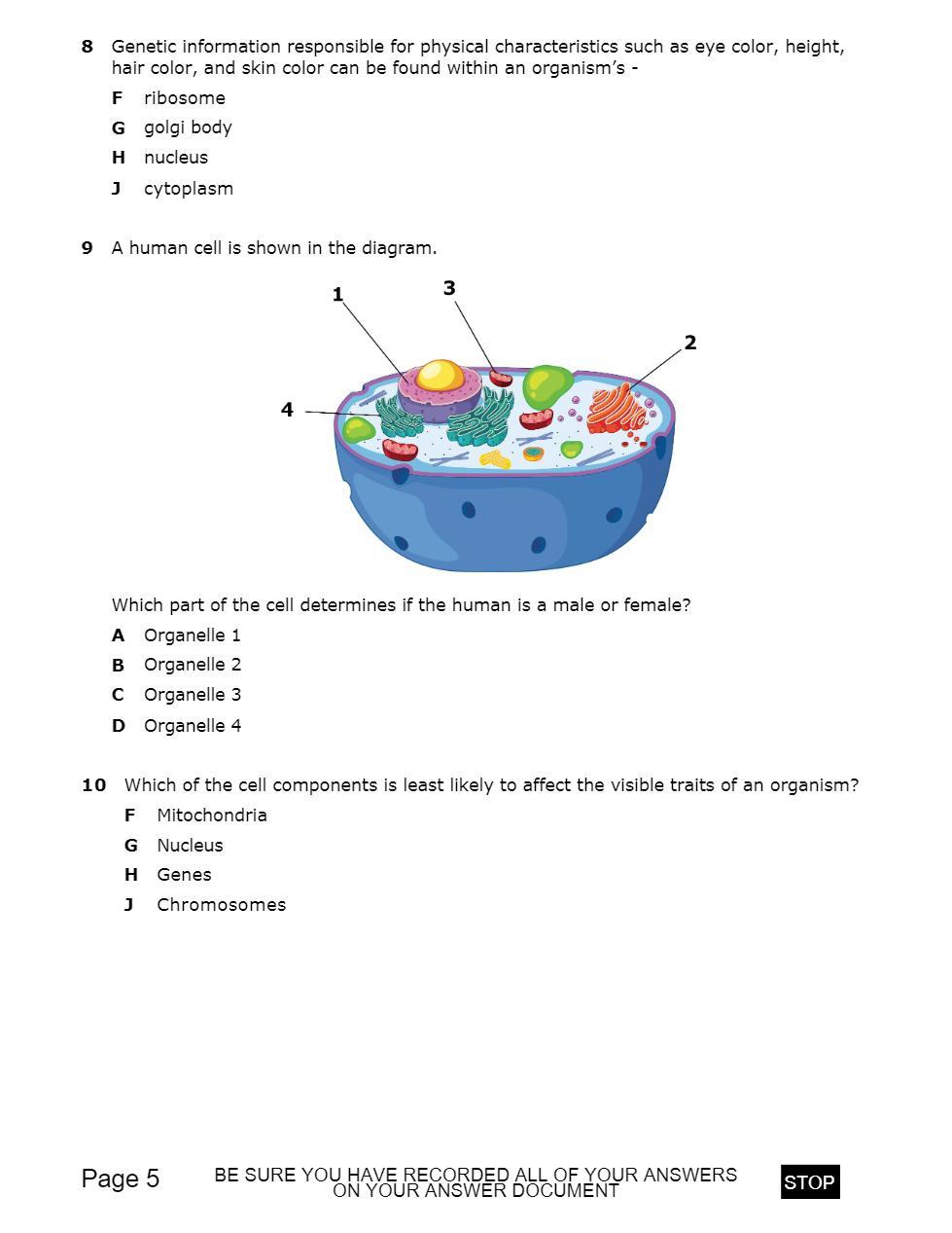 A human cell is shown in the diagram.Which part of the cell determines if the human is a male or female?A