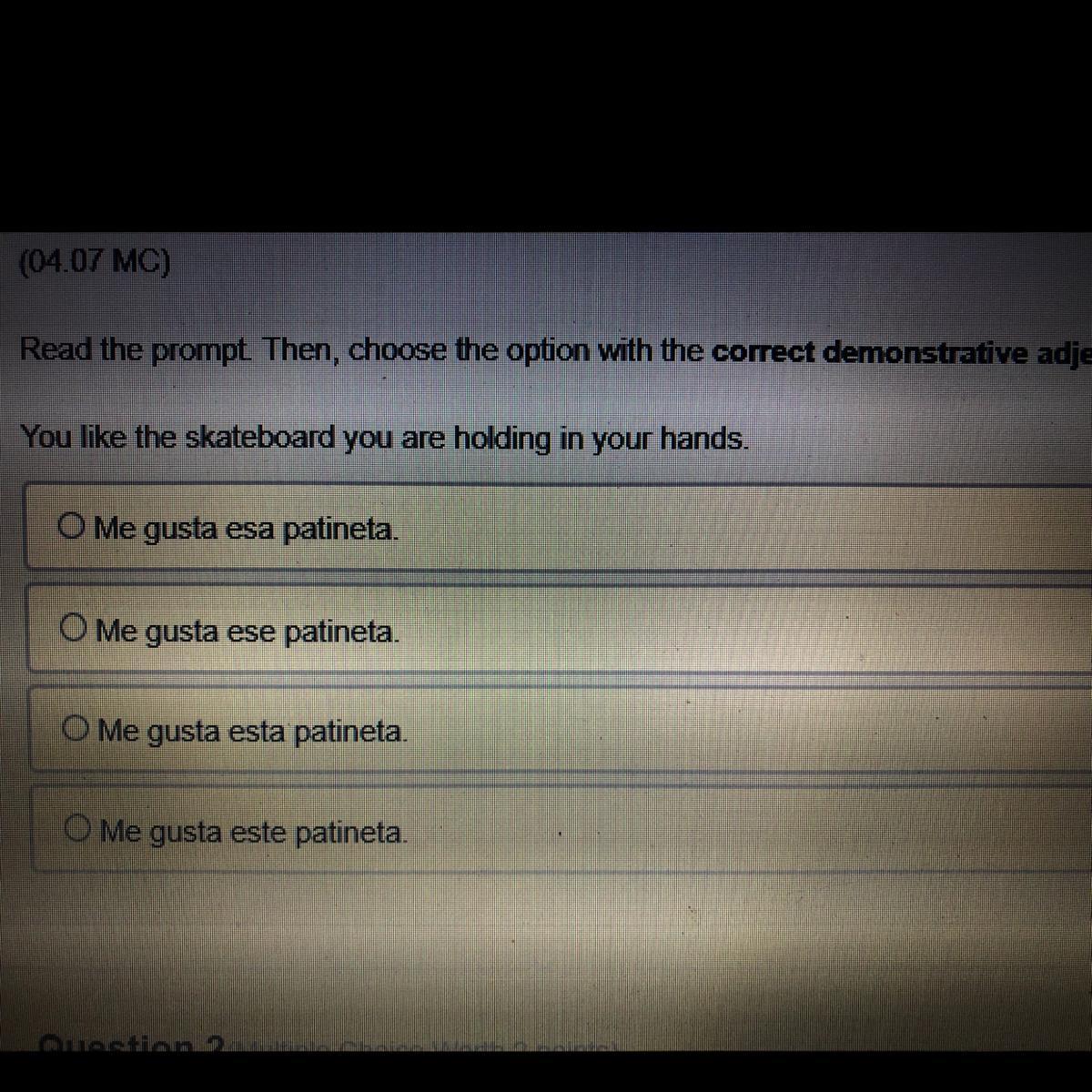 Read the prompt. Then, choose the option with the correct demonstrative adjective.