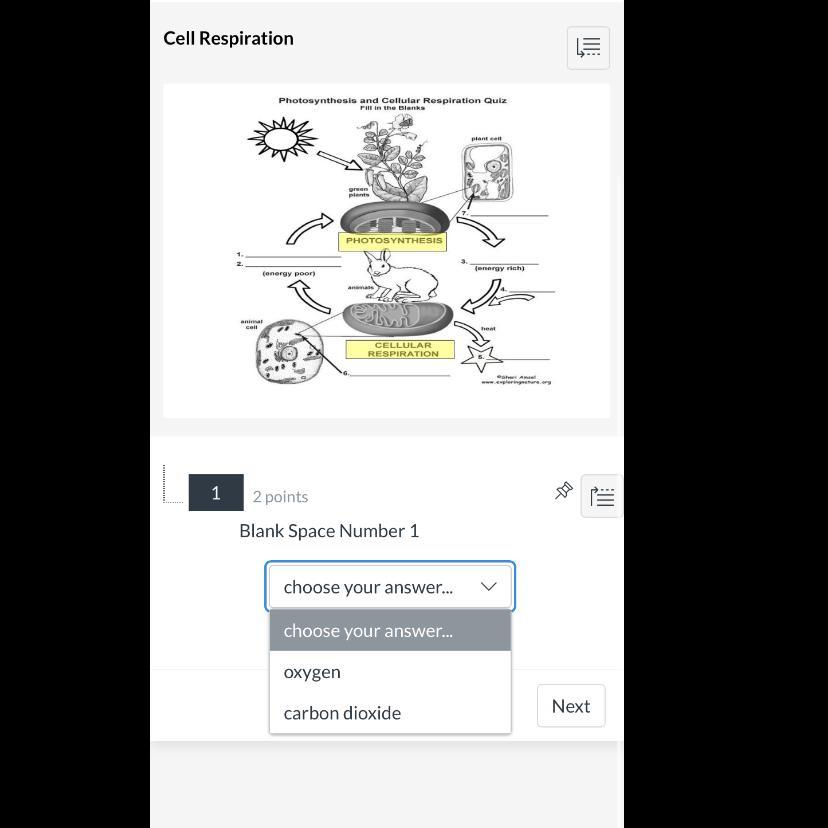 What is the answer? Please 