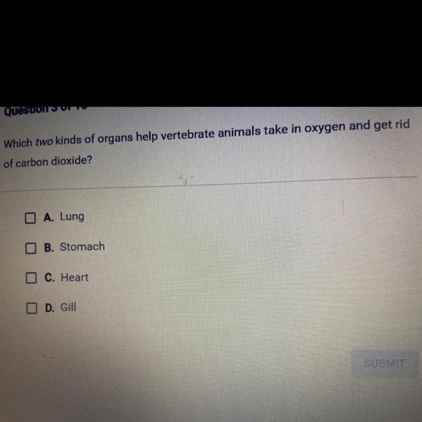 Help me please and thank you 