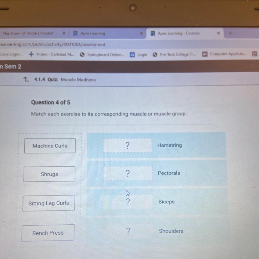Match each exercise to its corresponding muscle or muscle group. 