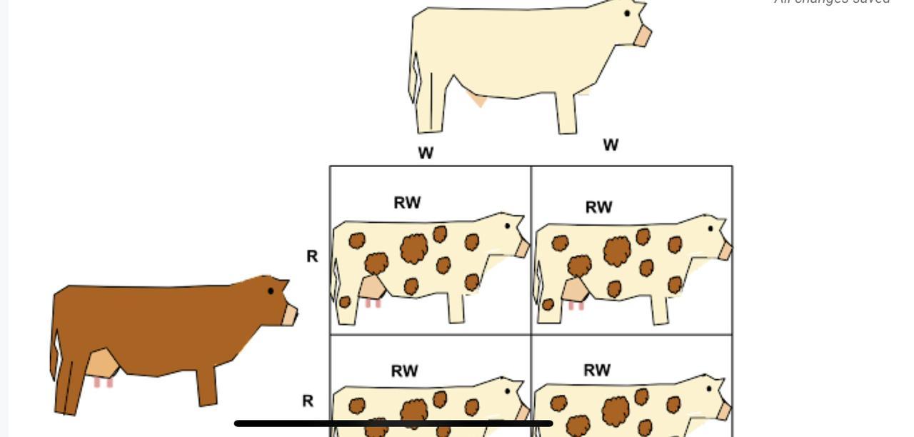 In The Previous Scenario, You Looked Closely At The Effect Of Dominance And Recessive Genes. In This