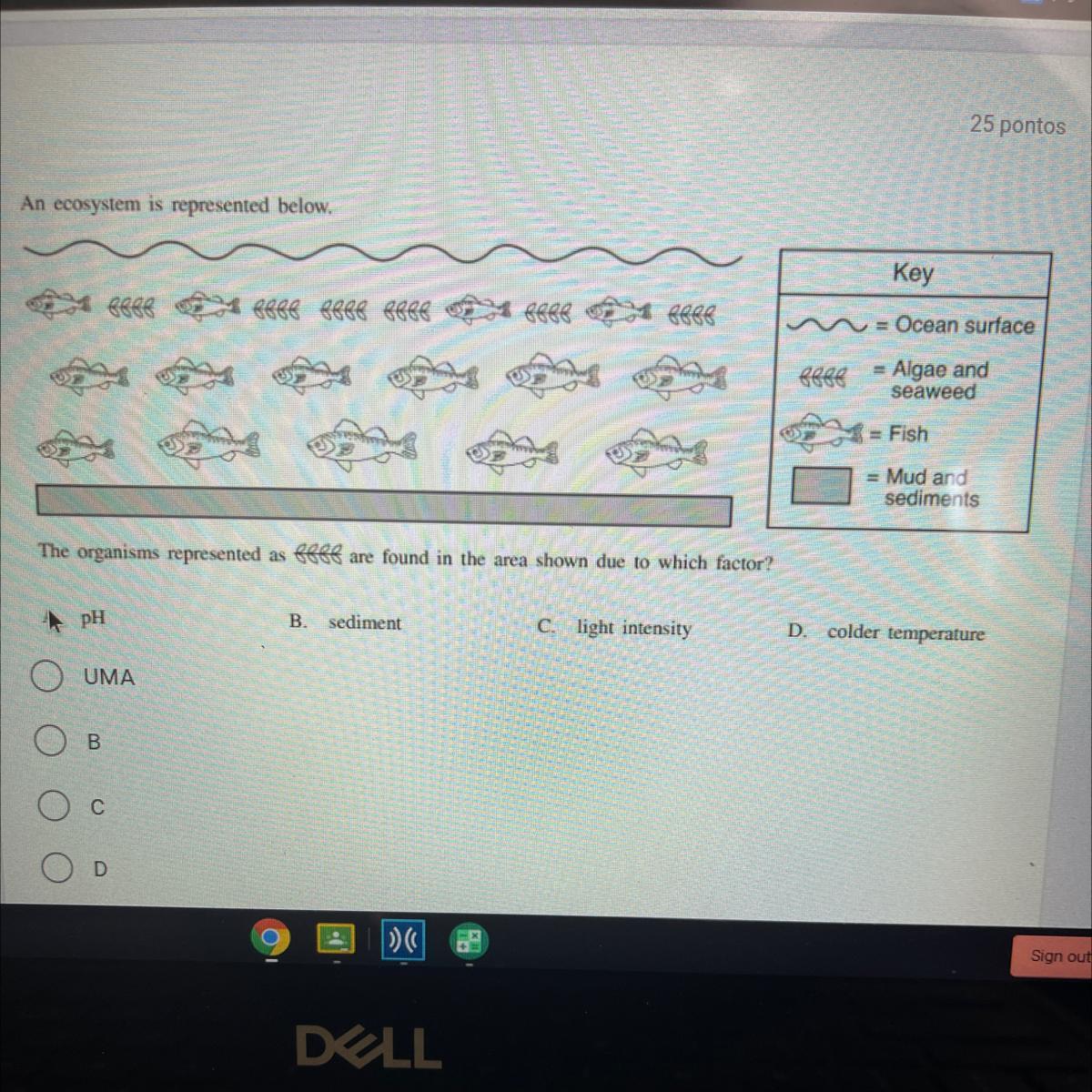 An ecosystem is represented below.KeyA lege eeee eeee eeee eeee u sees= Ocean surfaceeeee= Algae andseaweedco=