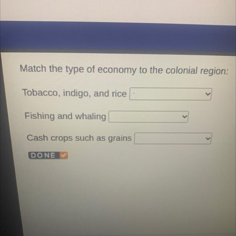 Match the type of economy to the colonial region:Tobacco, indigo, and riceFishing and whalingCash crops