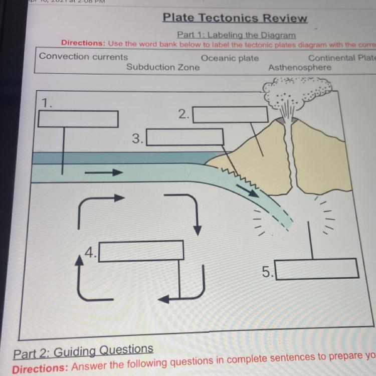 Please help me?? I need help labeling the graph using the word bank