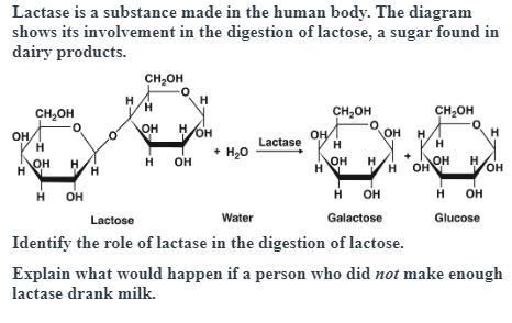 Its a typing question I need help with