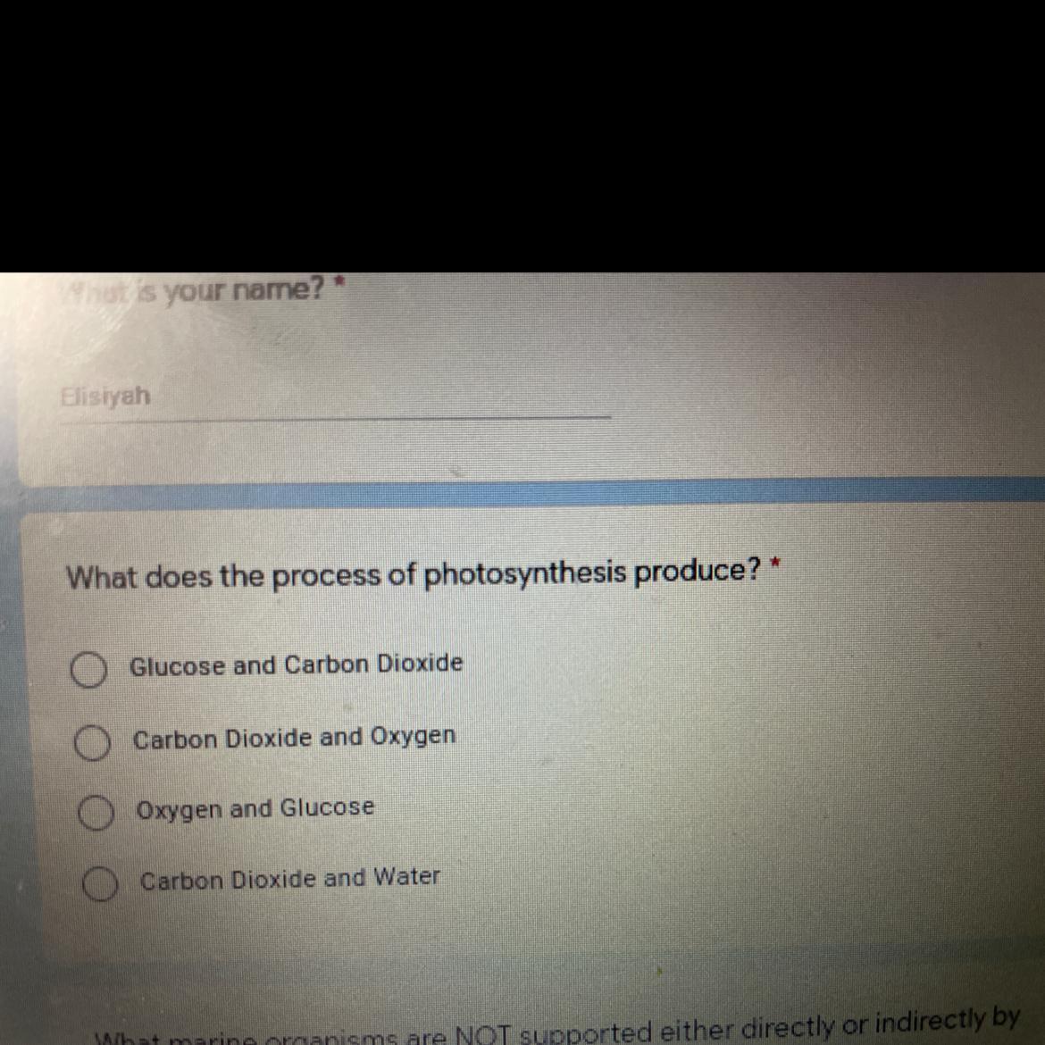 what does the process of photosynthesis produce?