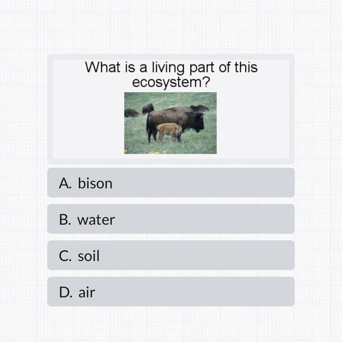 PLSSS HELP IF YOU TURLY KNOW THISS 