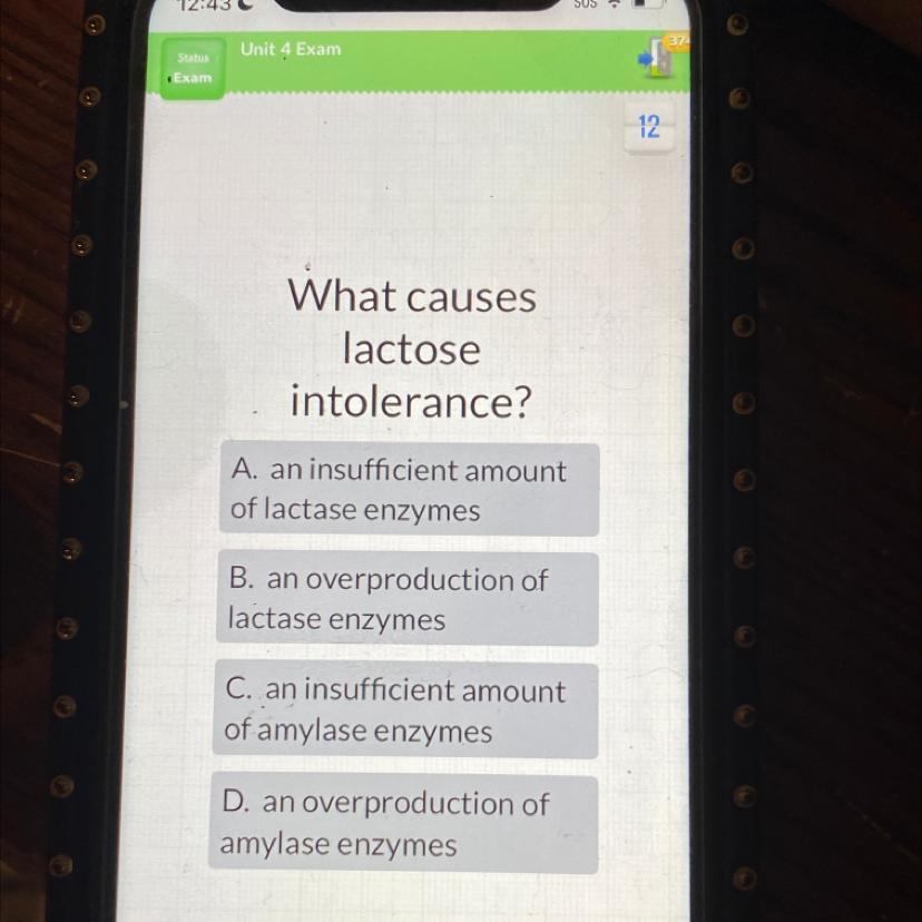 Whats the correct answer answer asap for brainly i need help