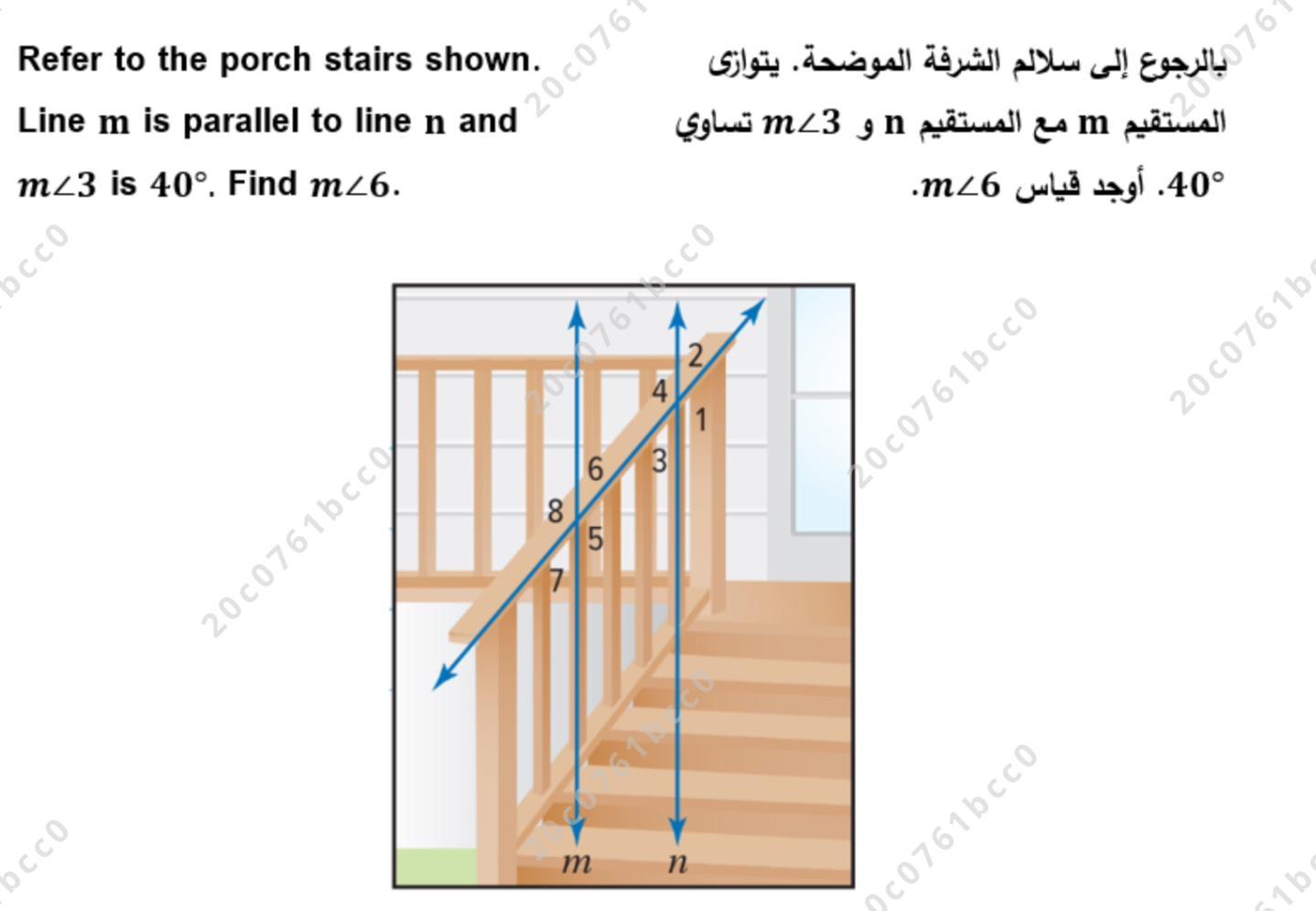Pleas help me and explain 