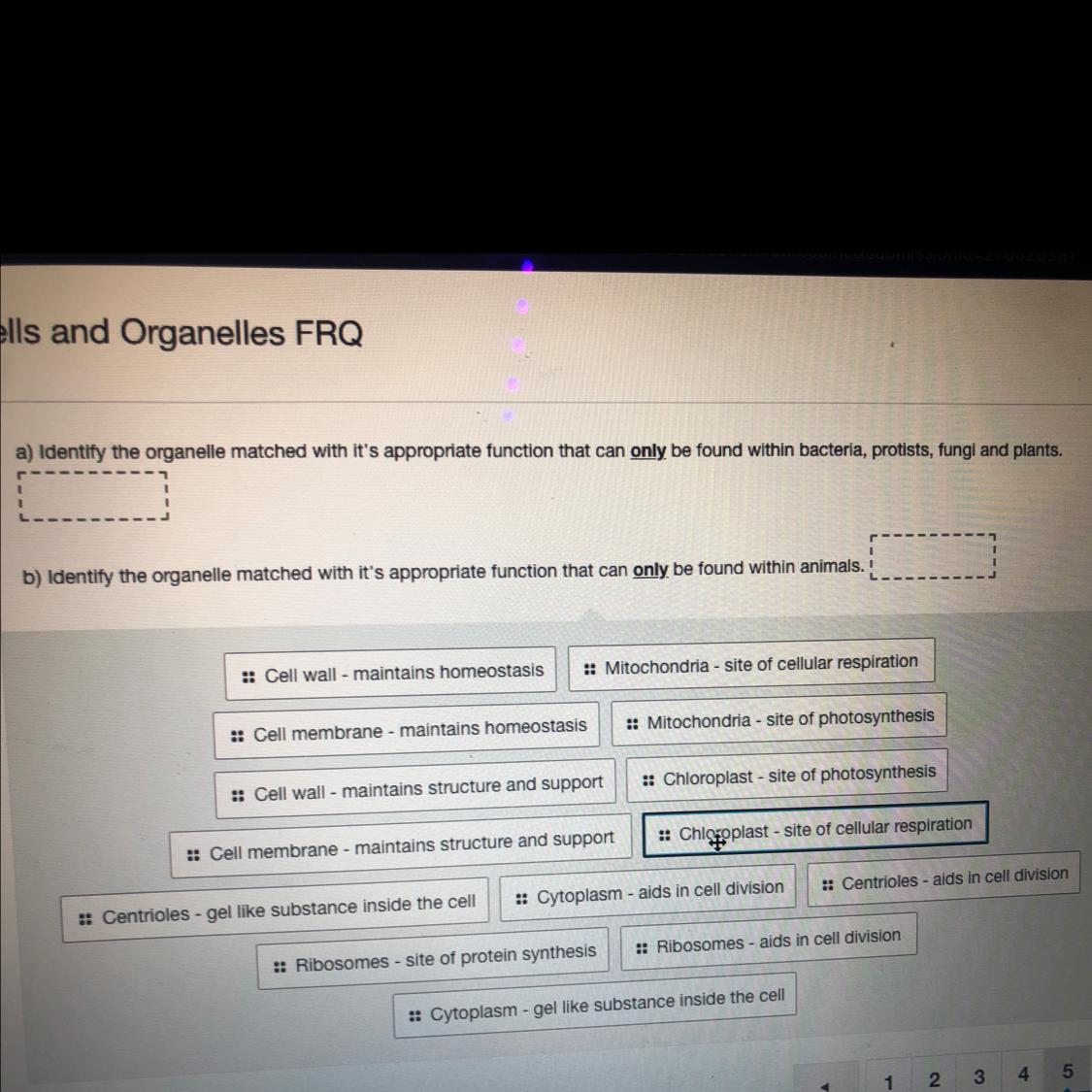 Biology CELLS AND ORGANELLES FRQ..