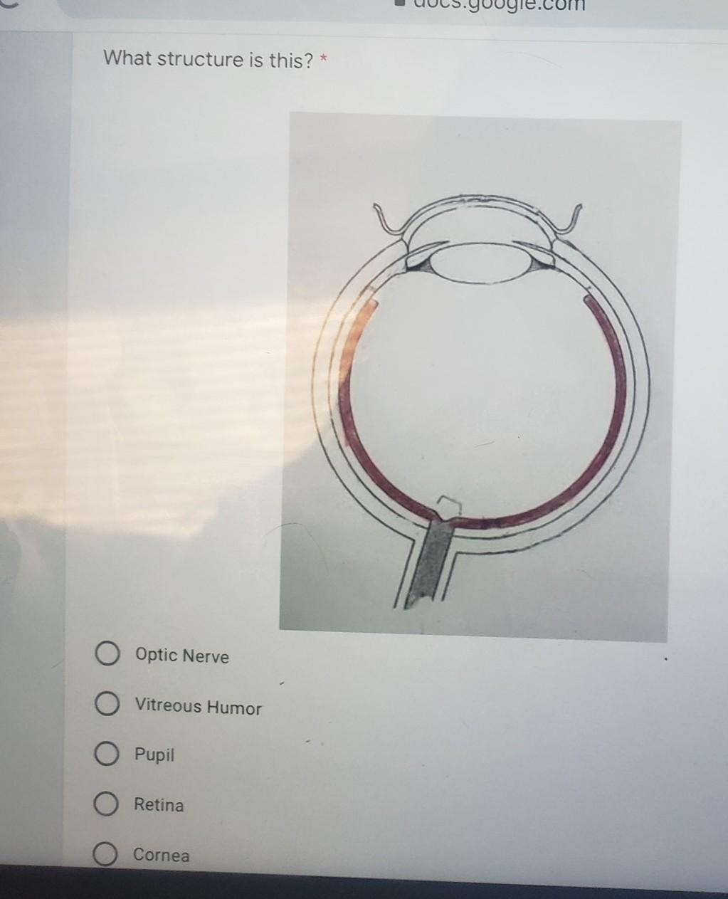 can someone please help me