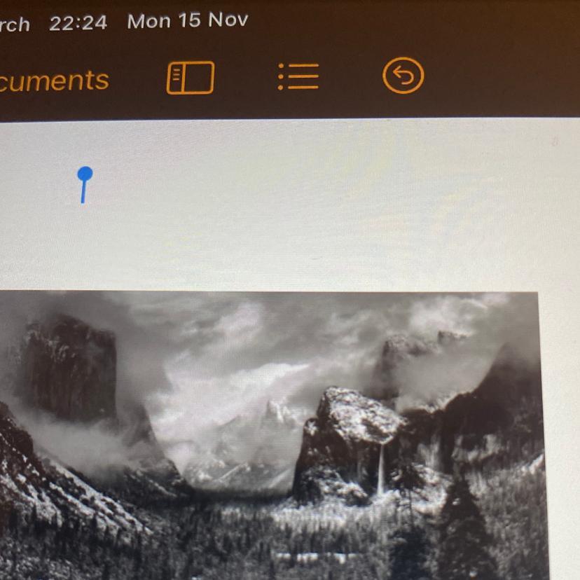 Write an analysis of this picture using the elements of art