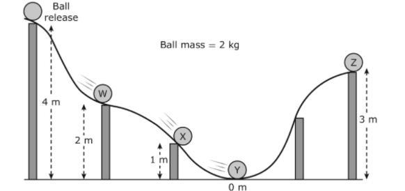 A demonstration helps students understand a principle of roller coaster design.At which location does