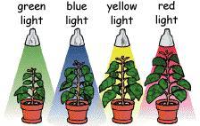 Please make a paragraph thank uRemember that we see the color of objects because that color bounces off