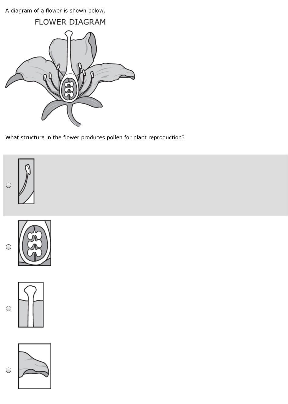 A Diagram Of A Flower Is Shown Below.What Structure In The Flower Produces Pollen For Plant Reproduction?