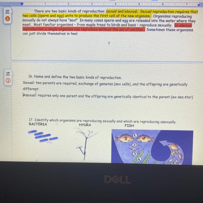 Help number #17 N thanks 