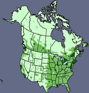 Analyze the map above. Using complete sentences, discuss Canadas population distribution. Make sure to