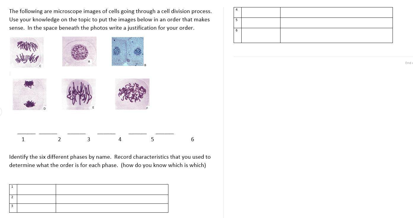 HEEELP MEEEEEThe Following Are Microscope Images Of Cells Going Through A Cell Division Process. Use