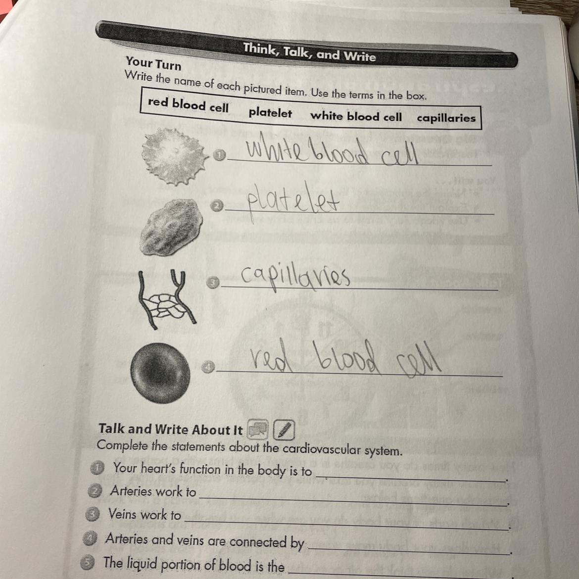 Giving 13 pointsanswer all the questions!!!Science