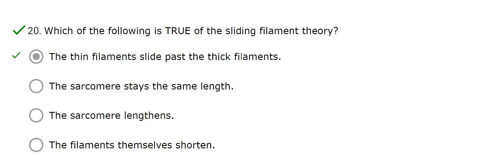 Which of the following is TRUE of the sliding filament theory?